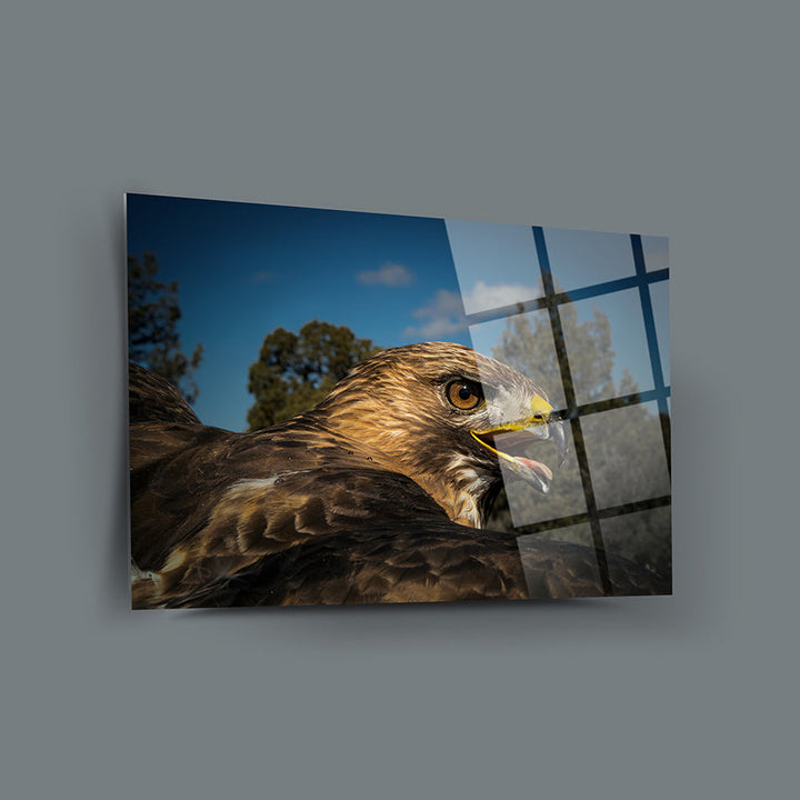 Gökyüzündeki Şahin Cam Tablo