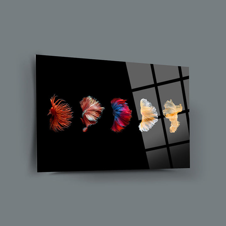 Renkli Beta Balıkları Cam Tablo